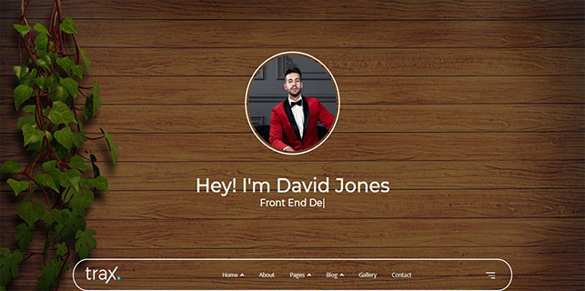 demo_preview